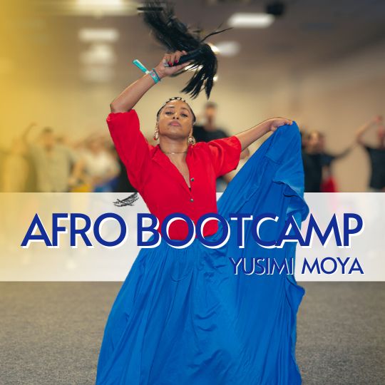 Mi Solar Artists post MIS, web 0.5 75 percent (6)